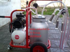 �������� ������� ������������ ������ �����  � �������