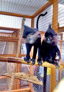 ������ ��������, �����, ��������, ������, ��������