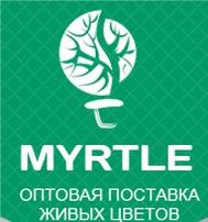 Требуется партнер для открытия цветочного магазина