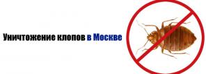 Уничтожение клопов, тараканов, крыс, грызунов.
