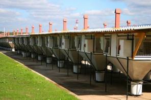 ���������� � ��������������, ����������� 3 ����.