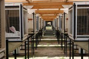 ���������� � ��������������, ����������� 3 ����.