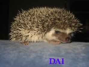 ����������� ���������� �����