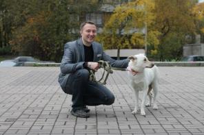 Дрессировка собак