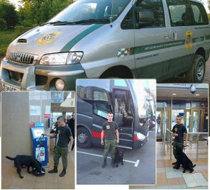 ����������� ������������ �����������-���