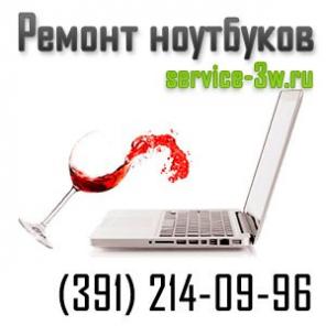Чистка ноутбука от Залития в Красноярске.