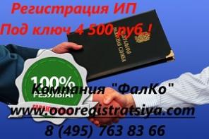Регистрация ИП под ключ за 4 500 руб.