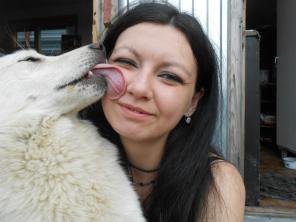 Возьму на бесплатную передержку собачку либо щенка