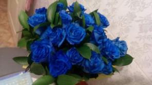 ������������� ����, ����������