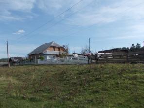 Продам фермерское хозяйство
