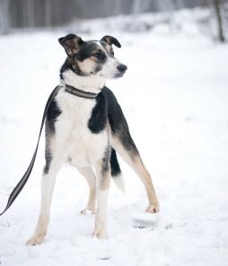 Джекки, милый обаяшка