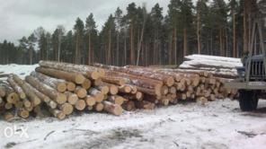 Лес кругляк, пиломатериалы от производителя