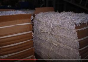 Уничтожение архивных документов