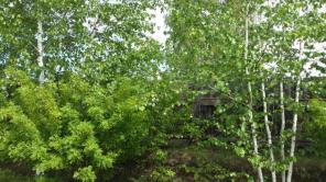 Белое озеро, ИЖС, городская прописка, документы готовы.