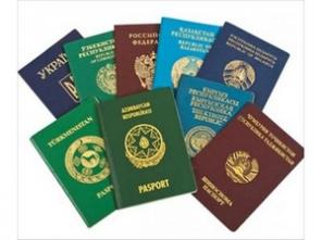 ������������ ��������