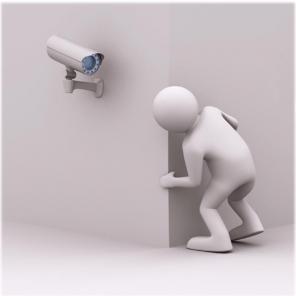 ������ ���������������