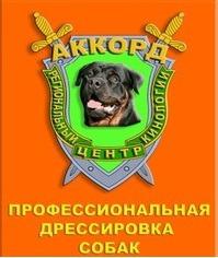 региональный центр кинологии Аккорд