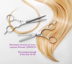 Покупаем волосы у населения в Костроме! Дороже всех!