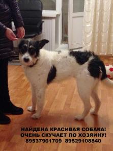Вольт