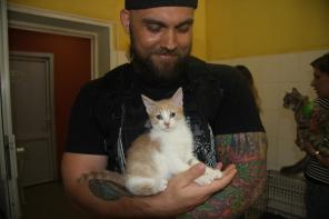 Котенок в добрые руки